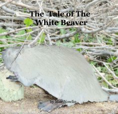 The Tale of The White Beaver book cover