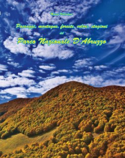 Paesaggi d'Abruzzo book cover
