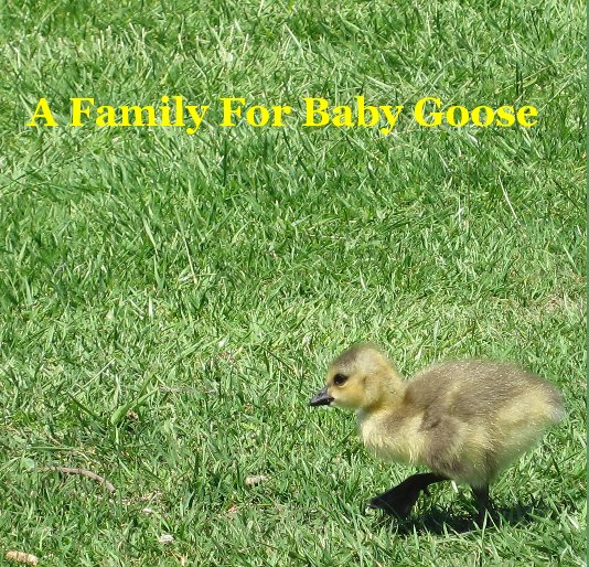 View A Family For Baby Goose by Melinda Light Cockrell