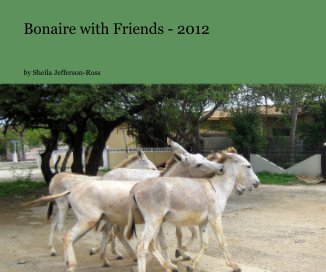 Bonaire with Friends - 2012 book cover