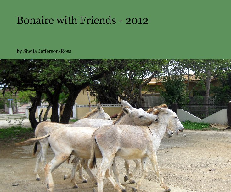 Bonaire with Friends - 2012 nach Sheila Jefferson-Ross anzeigen