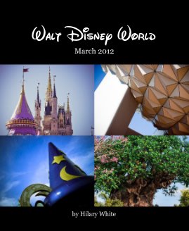 Walt Disney World book cover