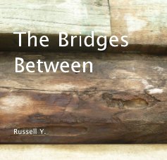 The Bridges Between book cover