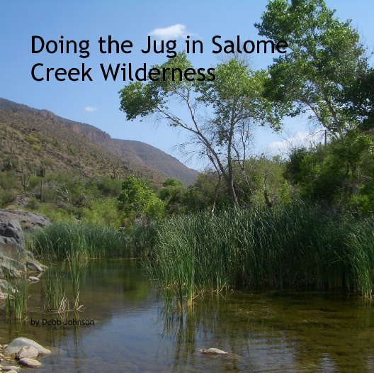 View Doing the Jug in Salome Creek Wilderness by Debb Johnson
