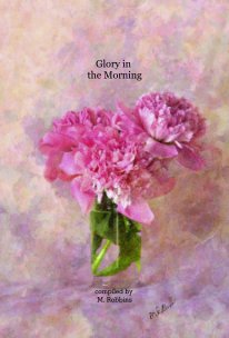 Glory in the Morning book cover