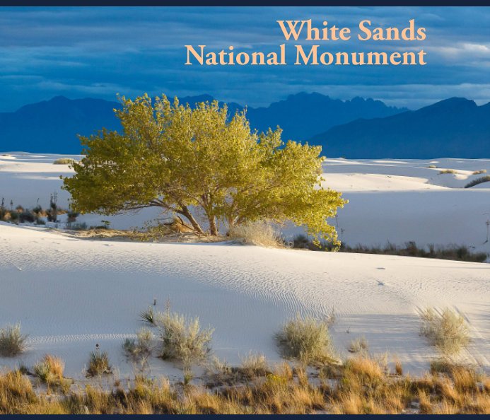 Visualizza White Sands National Monument di Gene Burch