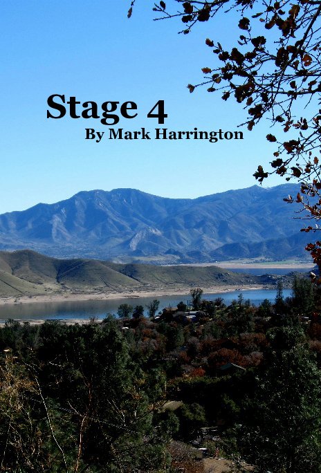 View Stage 4 by Mark Harrington