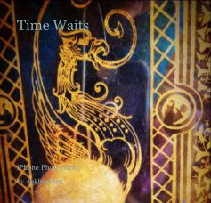 Time Waits book cover