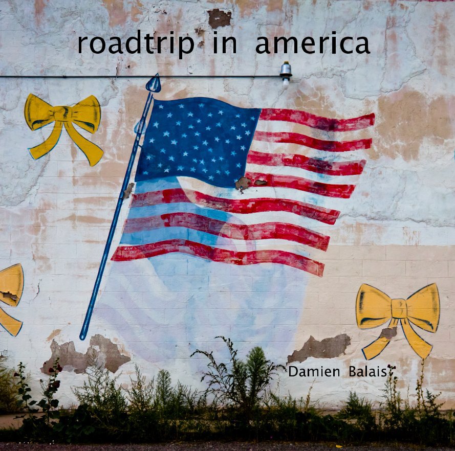 Ver Road Trip in America (large) por Damien Balais