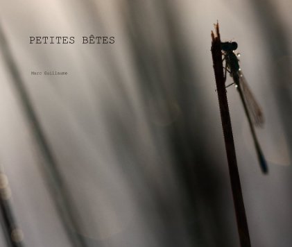 PETITES BÊTES book cover
