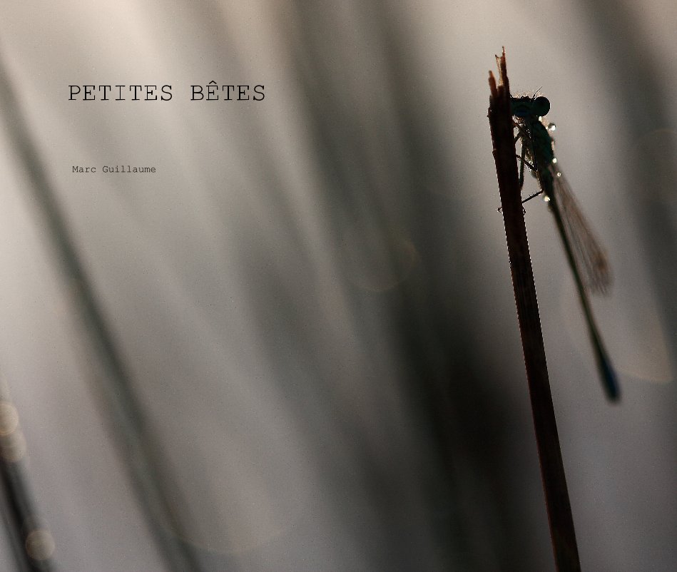 View PETITES BÊTES by Marc Guillaume