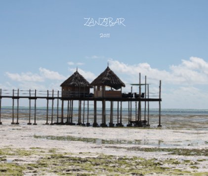 ZANZIBAR 2011 book cover