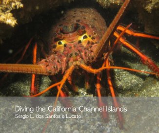 Diving the California Channel Islands book cover