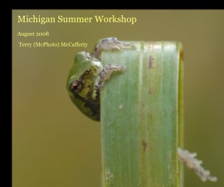 Michigan Summer Workshop book cover