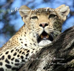 Masomepedi - Twenty book cover