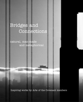 Bridges and Connections book cover