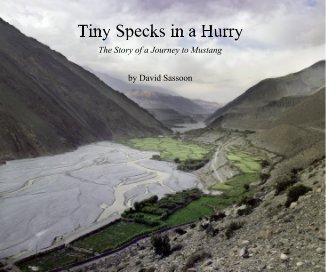 Tiny Specks in a Hurry book cover