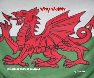 Why Wales? book cover