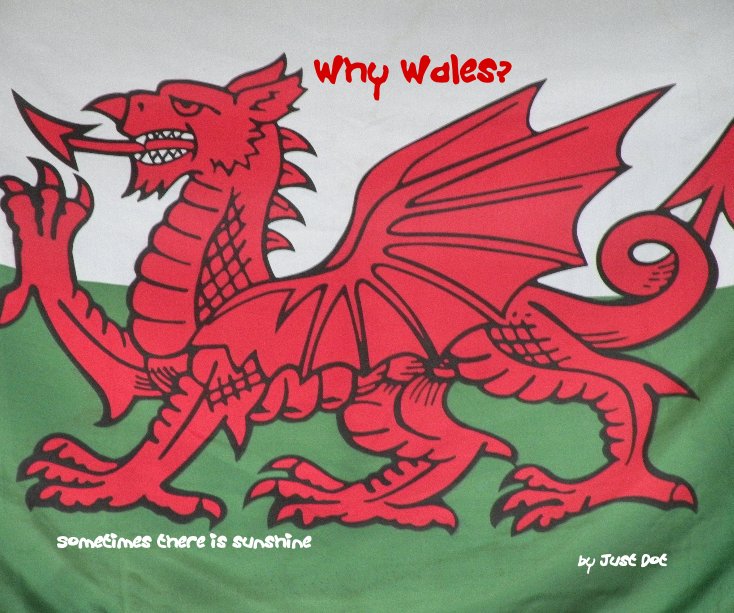 Ver Why Wales? por Just Dot
