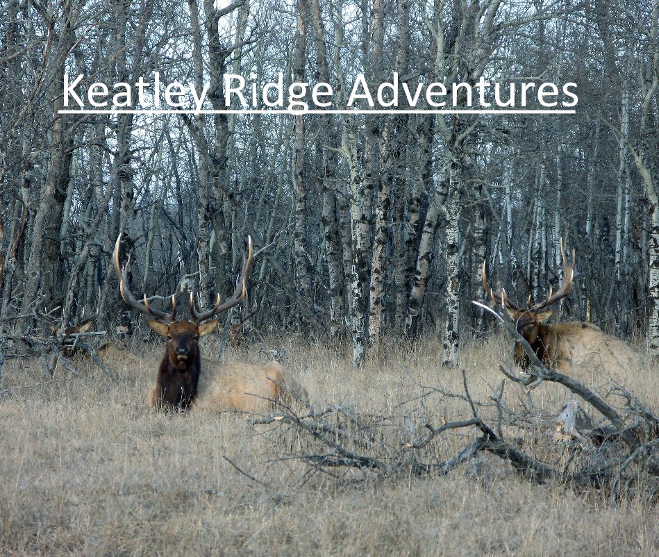 Bekijk Keatley Ridge Adventures op Jack Brown, President of Trophy Hunters, LLC