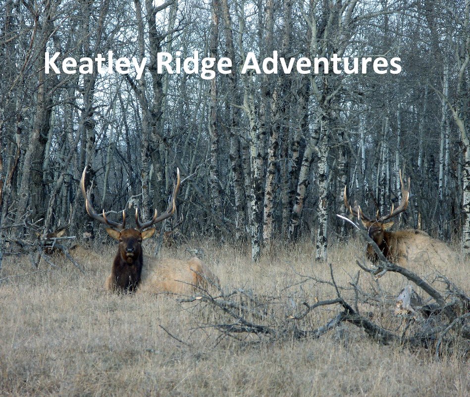 View Keatley Ridge Adventures by Jack Brown, President of Trophy Hunters, LLC