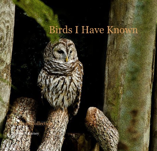 View Birds I Have Known by Robert H Carney