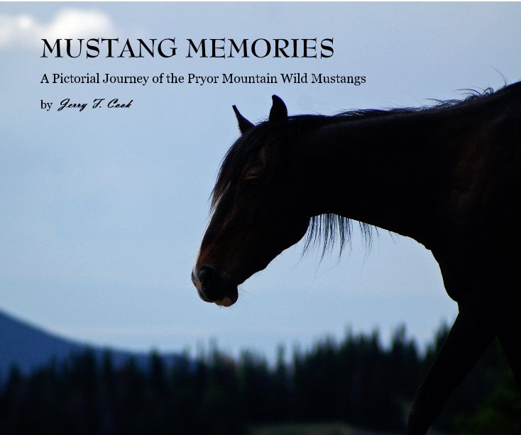 View MUSTANG MEMORIES by Jerry F. Cook