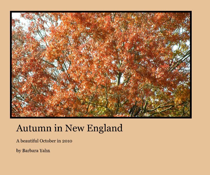View Autumn in New England by Barbara Yahn