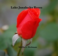 Junaluska Roses book cover