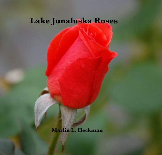 View Junaluska Roses by Marlin L. Heckman