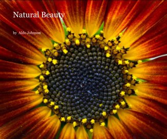 Natural Beauty book cover