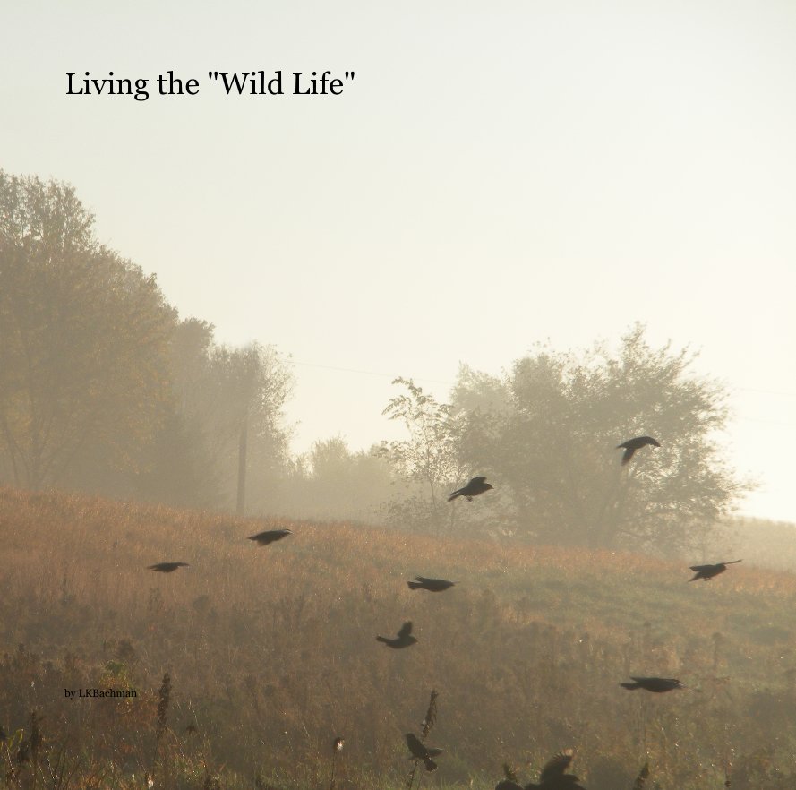 Ver Living the "Wild Life" por LKBachman