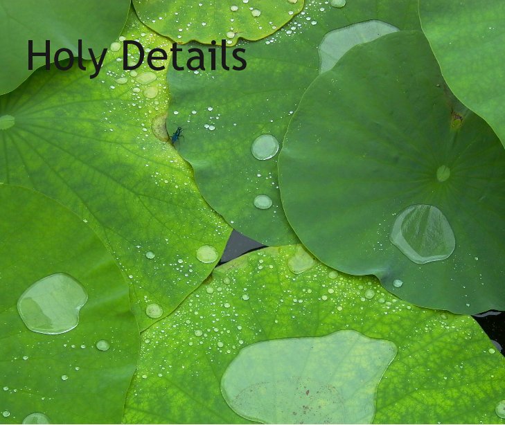View Holy Details by David Flynn