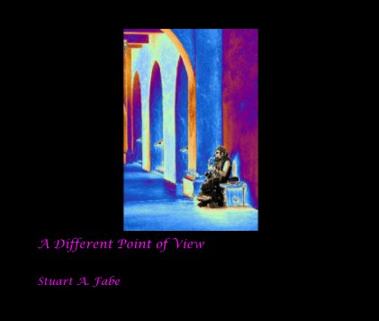 A Different Point of View book cover