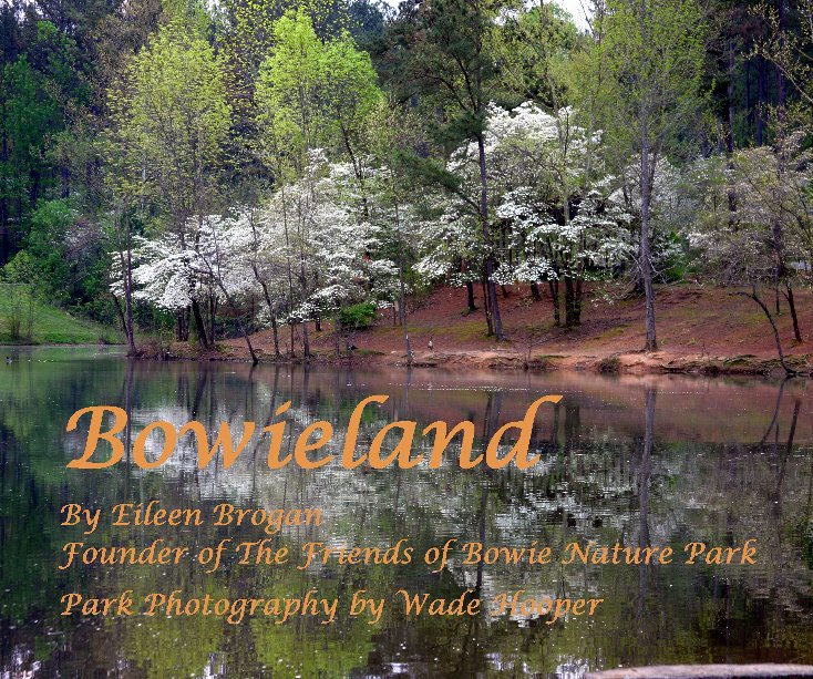 View Bowieland by Eileen Brogan