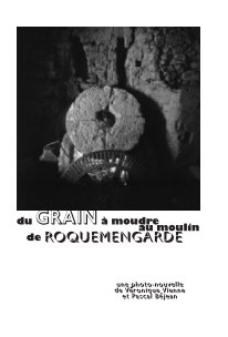 Du grain à moudre - Roquemengarde book cover