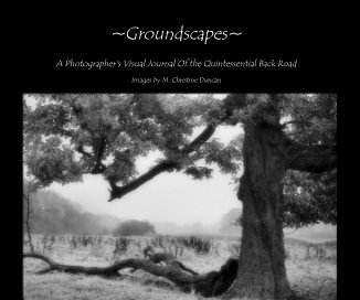 ~Groundscapes~ book cover