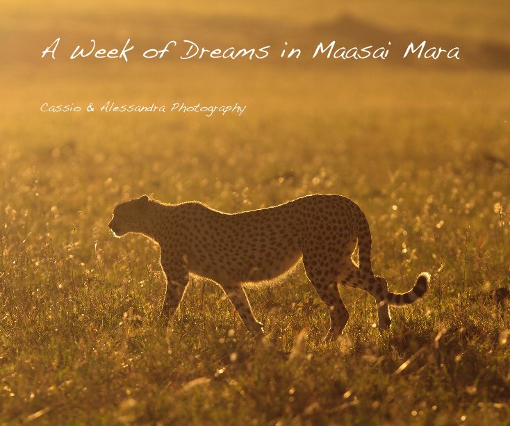 Ver A Week of Dreams in Maasai Mara por Cassio & Alessandra Photography