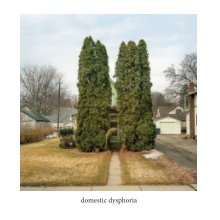 domestic dysphoria book cover