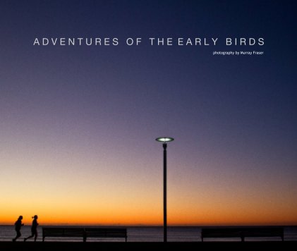 Adventures of the Early Birds book cover