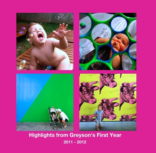 View Highlights from Greyson's First Year by 2011 - 2012