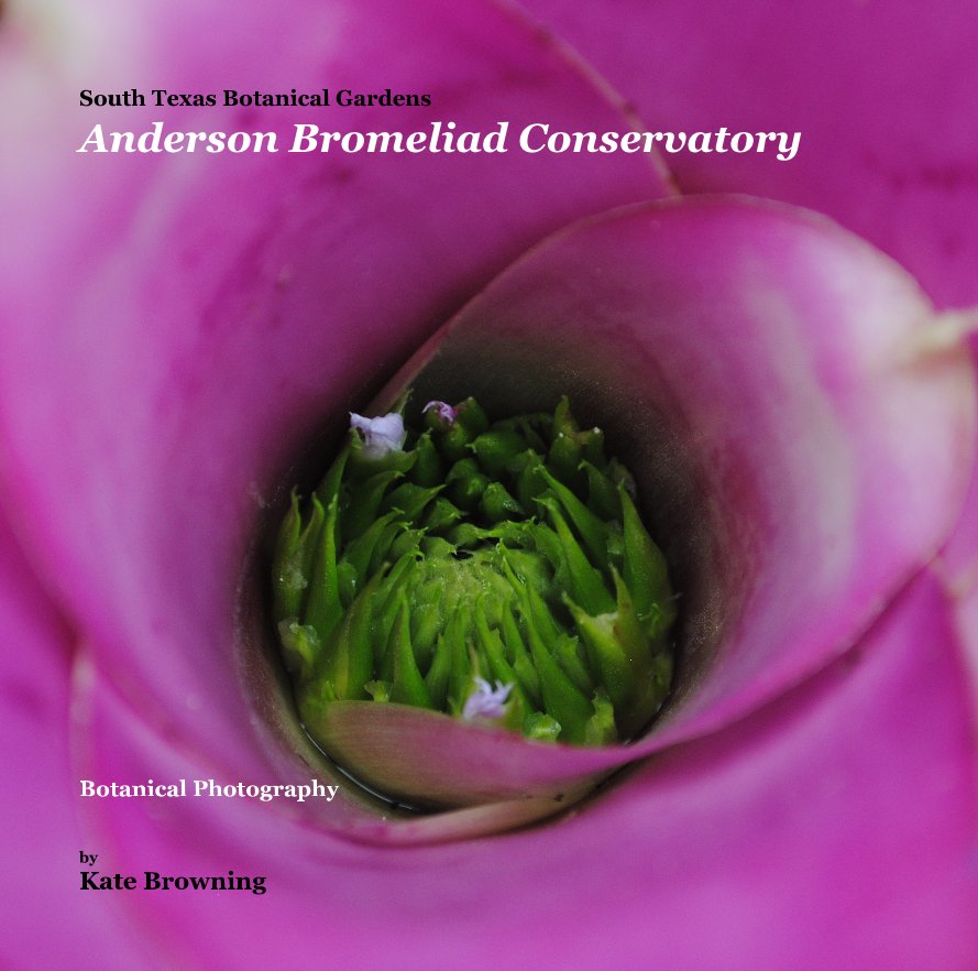 Ver South Texas Botanical Gardens Anderson Bromeliad Conservatory por Kate Browning Word