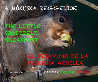 A MÓKUSKA REGGELIJE book cover