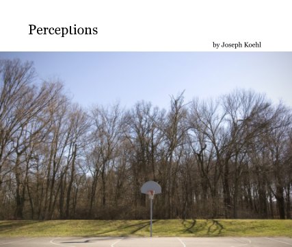Perceptions book cover