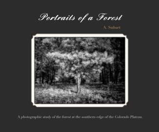 Portraits of a Forest book cover