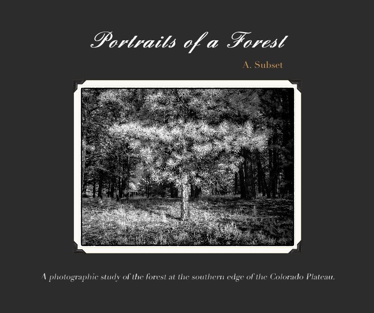 View Portraits of a Forest by A. Subset