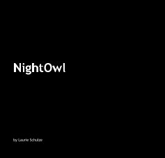 NightOwl book cover