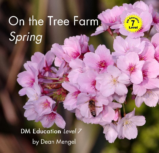 View On the Tree Farm Spring by Dean Mengel