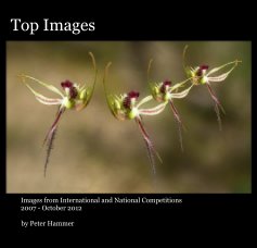 Top Images book cover