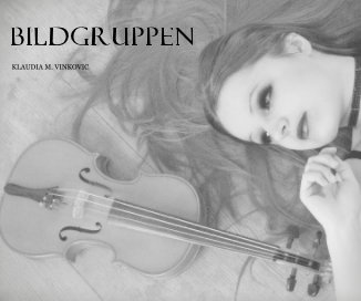 Bildgruppen book cover